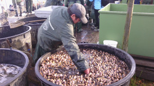 Výlov Malá Barbora (6)