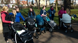 Závody kočárků (11)