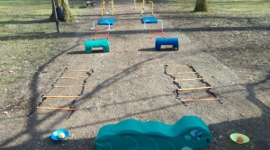 Závody kočárků (2)