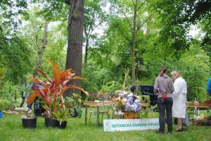 Lázeňská 2015 (2)