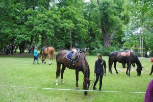 Lázeňská 2015 (3)