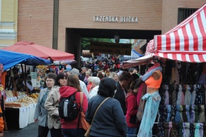 Lázeňská 2015 (66)