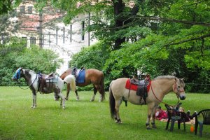 Lázeňská 2015 (7)