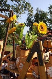 Osecká pouť 2015 (9)