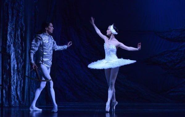 Před koncem roku na Labutí jezero