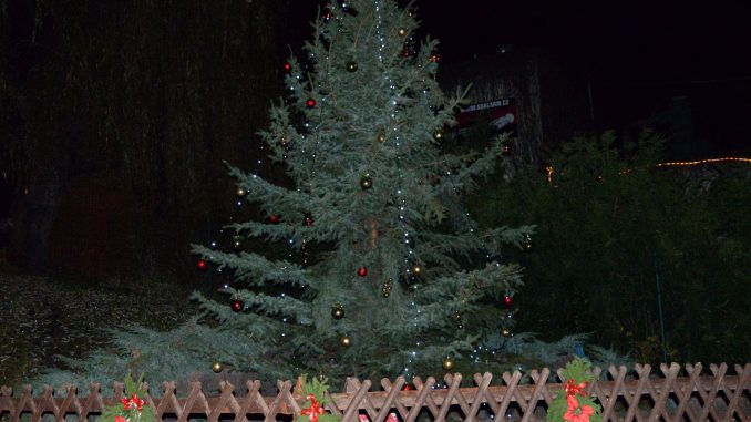 vánoční strom zoo