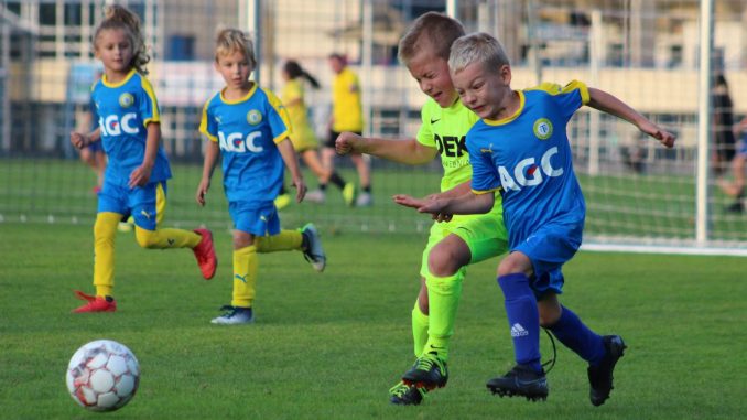 Ocenění vítězů domácích soutěží