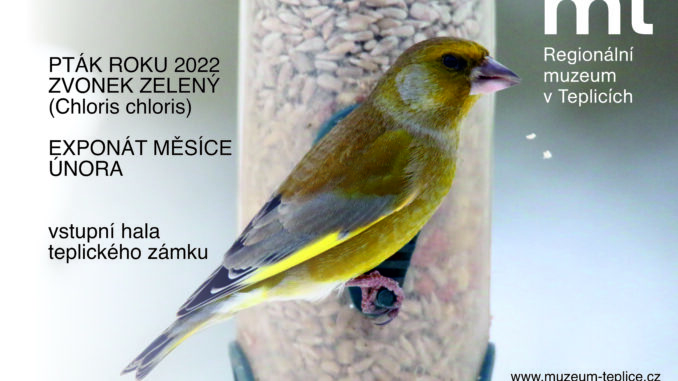 exponát měsíce února