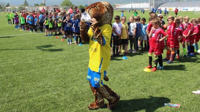 Malí fotbalisté bojovali v Teplicích o McDonald‘s Cup