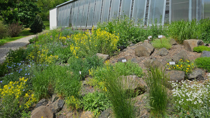 Poklady Českého středohoří