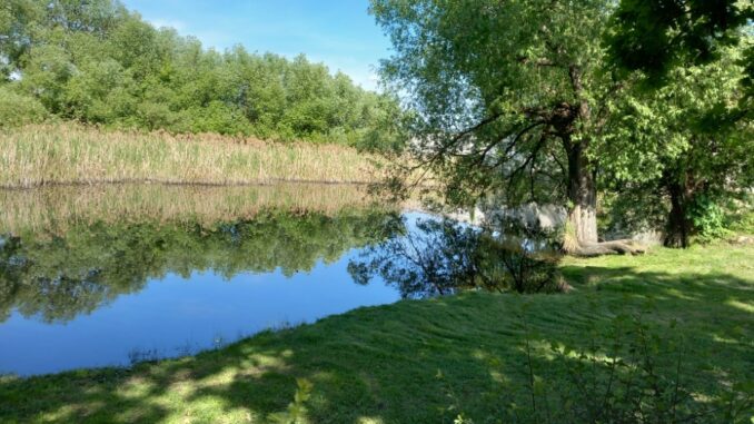 Teplická nádrž Bramš se mění k lepšímu